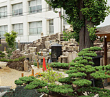 興徳寺写真