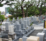齢延寺写真