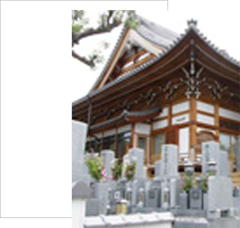 墓地のイメージ画像